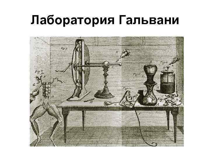 Лаборатория Гальвани 
