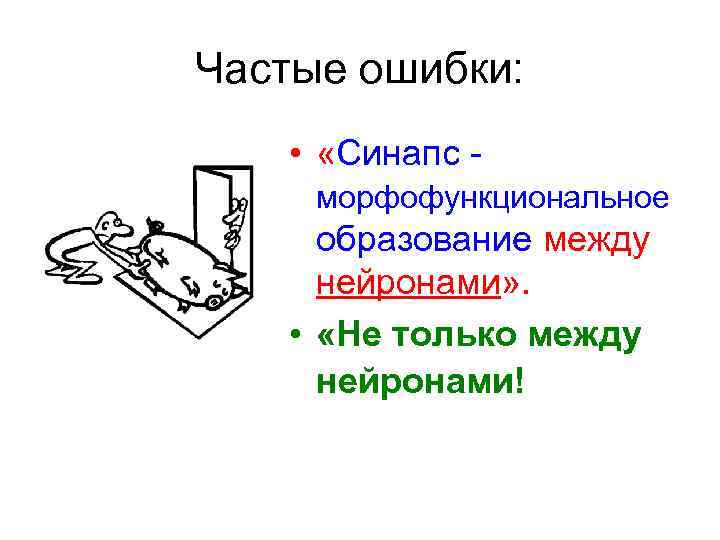 Частые ошибки: • «Синапс - морфофункциональное образование между нейронами» . • «Не только между