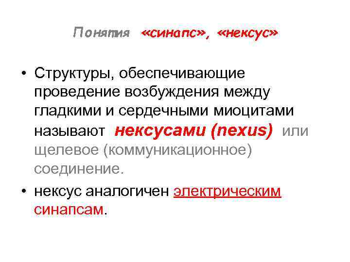 Понятия «синапс» , «нексус» • Структуры, обеспечивающие проведение возбуждения между гладкими и сердечными миоцитами