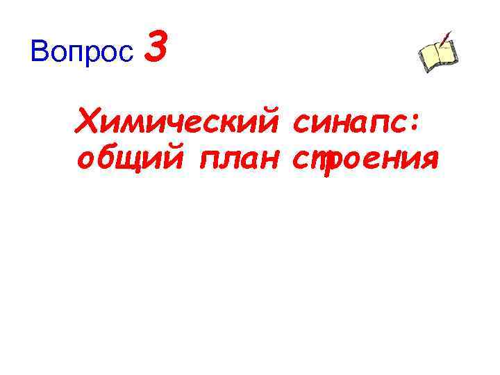 Вопрос 3 Химический синапс: общий план строения 