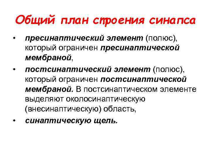 Общий план строения синапса • • • пресинаптический элемент (полюс), который ограничен пресинаптической мембраной,