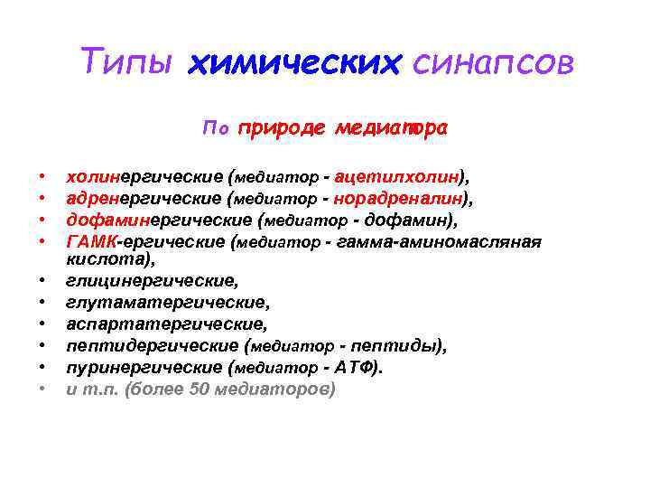 Типы химических синапсов По • • • природе медиатора холинергические (медиатор - ацетилхолин), адренергические