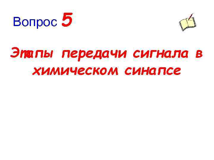 Вопрос 5 Этапы передачи сигнала в химическом синапсе 