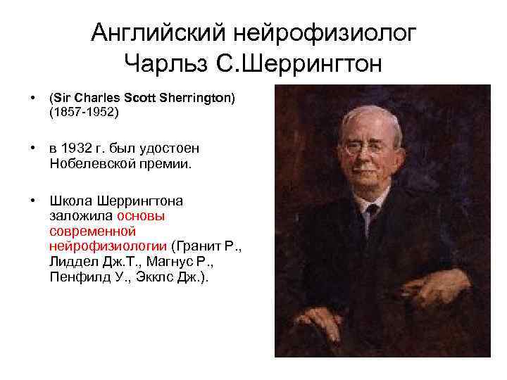 Английский нейрофизиолог Чарльз С. Шеррингтон • (Sir Charles Scott Sherrington) (1857 -1952) • в