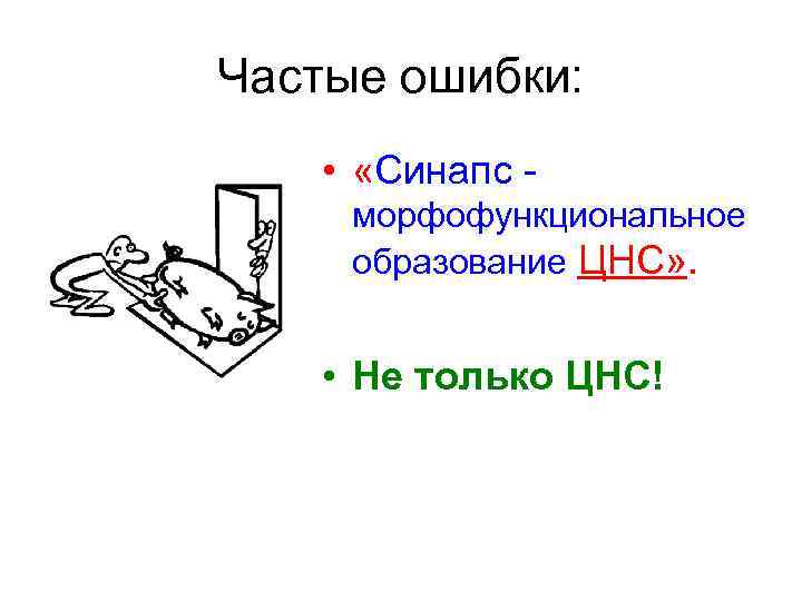 Частые ошибки: • «Синапс - морфофункциональное образование ЦНС» . • Не только ЦНС! 