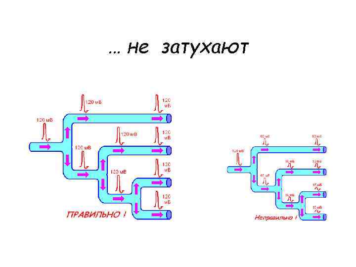 … не затухают 