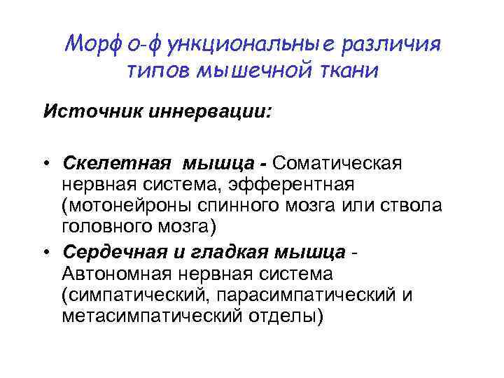 Морфо‑функциональные различия типов мышечной ткани Источник иннервации: • Скелетная мышца - Соматическая нервная система,