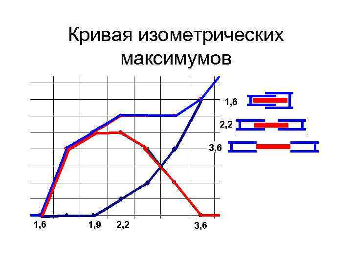 Зависимость длина сила. Кривая изометрических максимумов. График сила длина физиология. Изометрическое расширение график. Кривая изометрических максимумов Покровский.