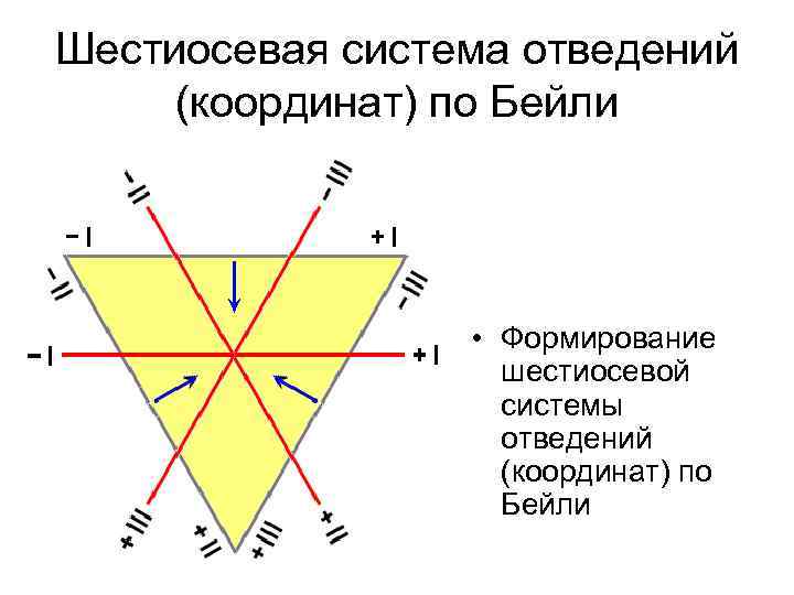 Шестиосевая система отведений (координат) по Бейли • Формирование шестиосевой системы отведений (координат) по Бейли