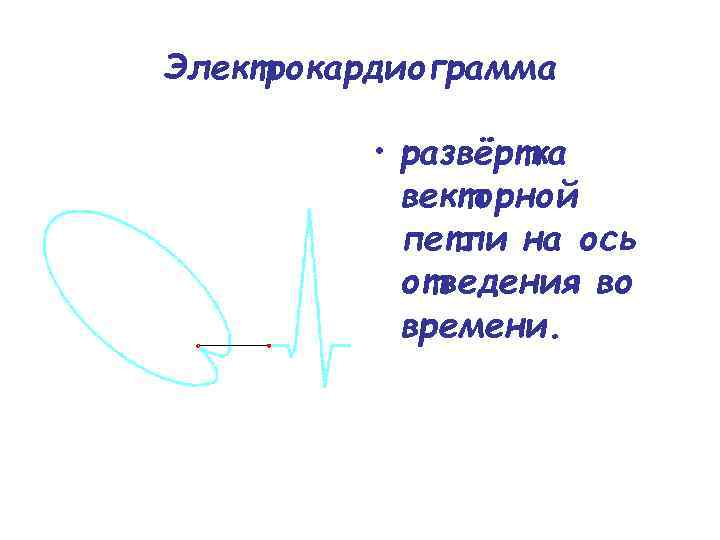Электрокардиограмма • развёртка векторной петли на ось отведения во времени. 