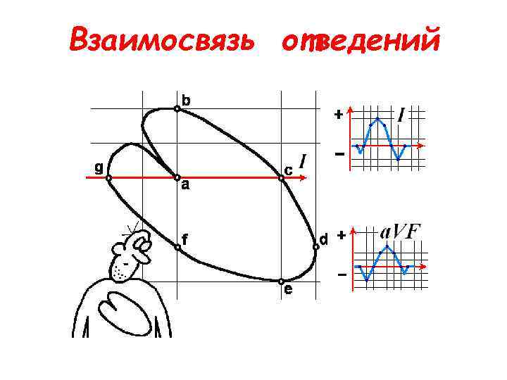 Взаимосвязь отведений 