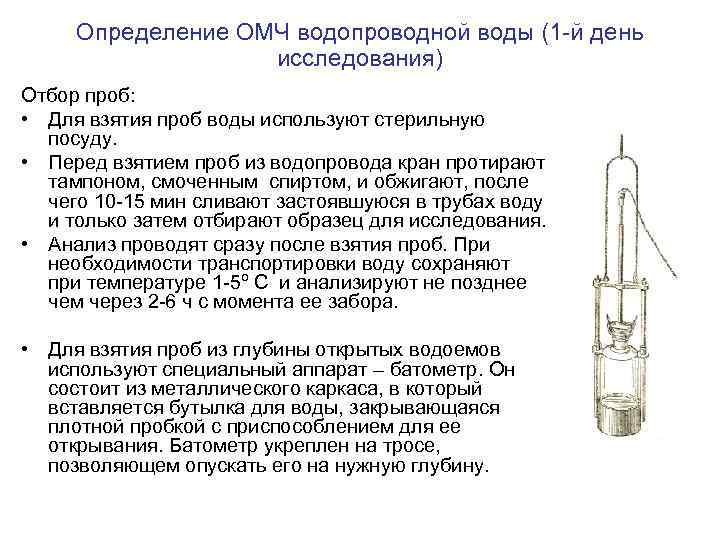 Определение ОМЧ водопроводной воды (1 -й день исследования) Отбор проб: • Для взятия проб