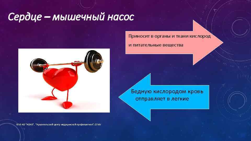 Сердце – мышечный насос Приносит в органы и ткани кислород и питательные вещества Бедную