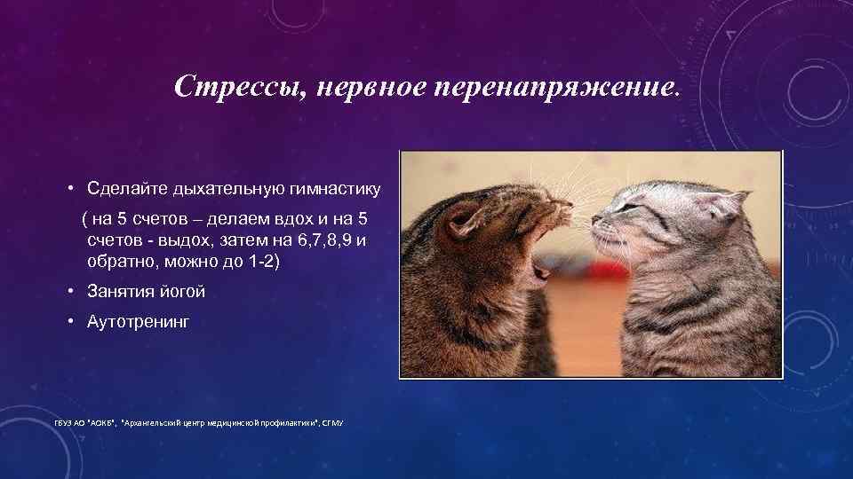 Стрессы, нервное перенапряжение. • Сделайте дыхательную гимнастику ( на 5 счетов – делаем вдох