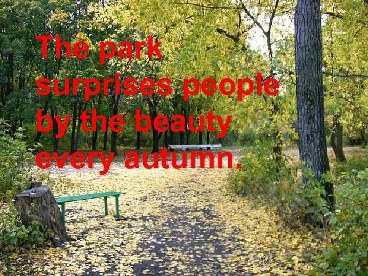 The park surprises people by the beauty every autumn. 