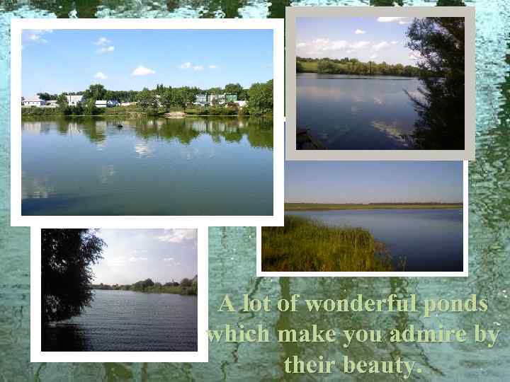 A lot of wonderful ponds which make you admire by their beauty. 