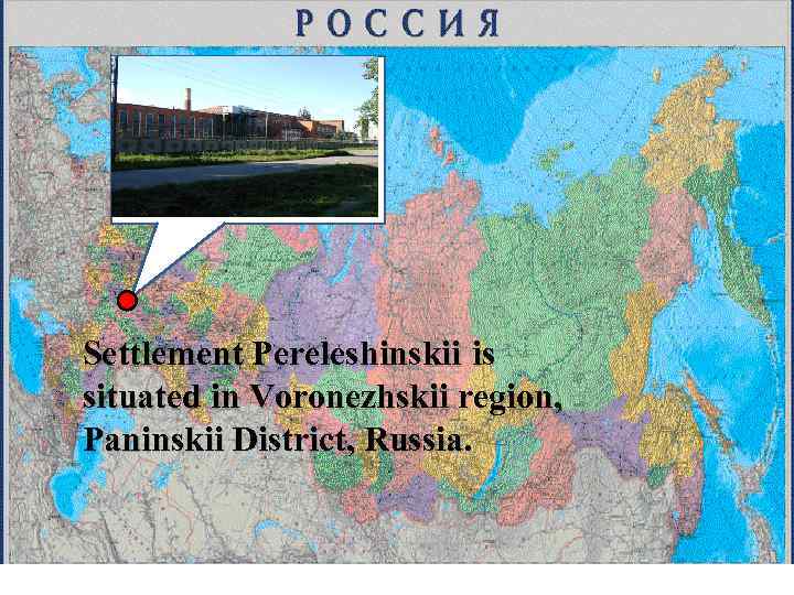 Settlement Pereleshinskii is situated in Voronezhskii region, Paninskii District, Russia. 