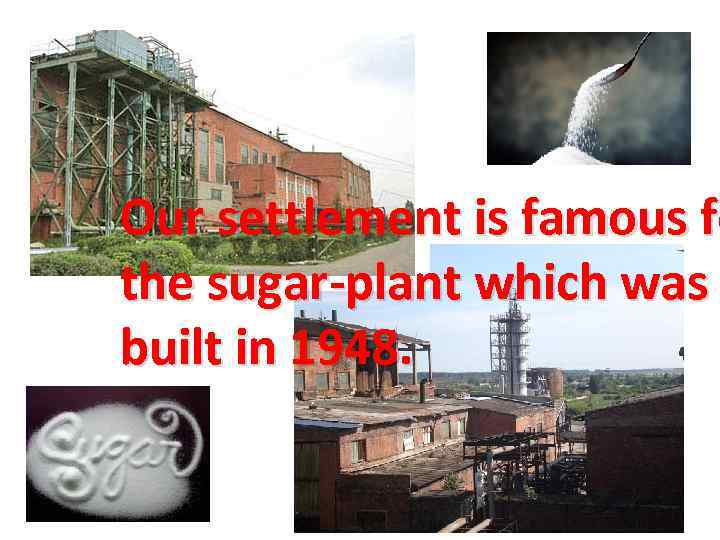 Our settlement is famous fo the sugar-plant which was built in 1948. 