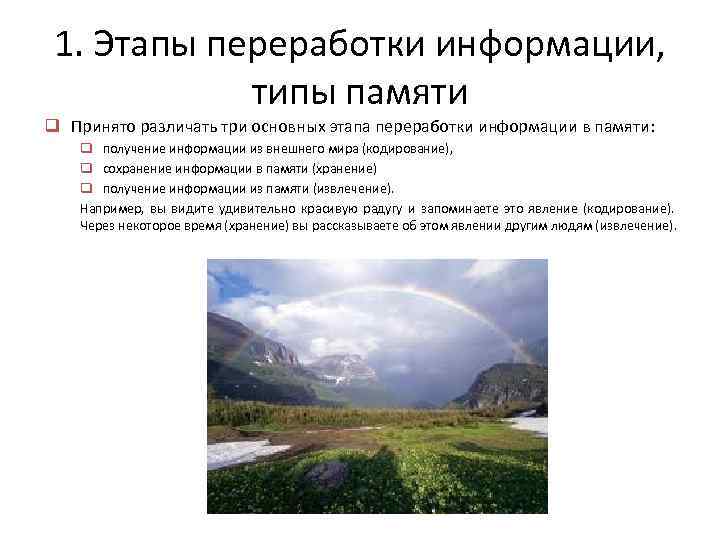 1. Этапы переработки информации, типы памяти q Принято различать три основных этапа переработки информации