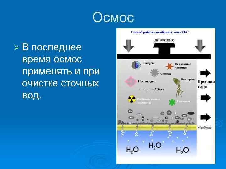 Осмос Ø В последнее время осмос применять и при очистке сточных вод. 