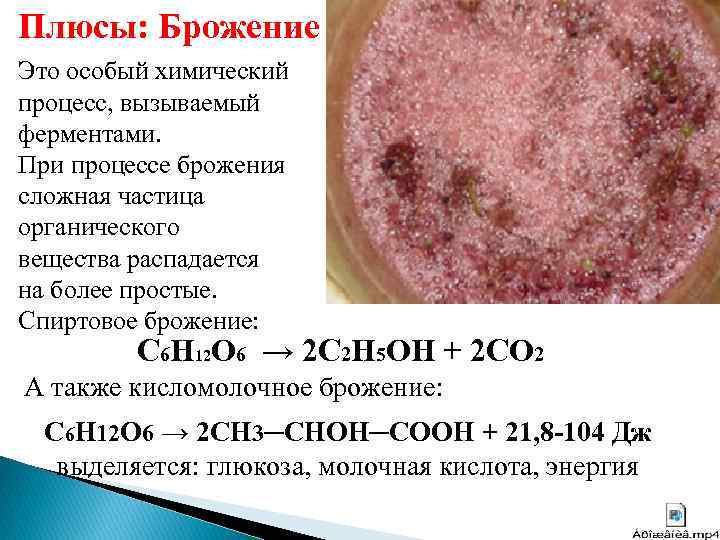 Плюсы: Брожение Это особый химический процесс, вызываемый ферментами. При процессе брожения сложная частица органического