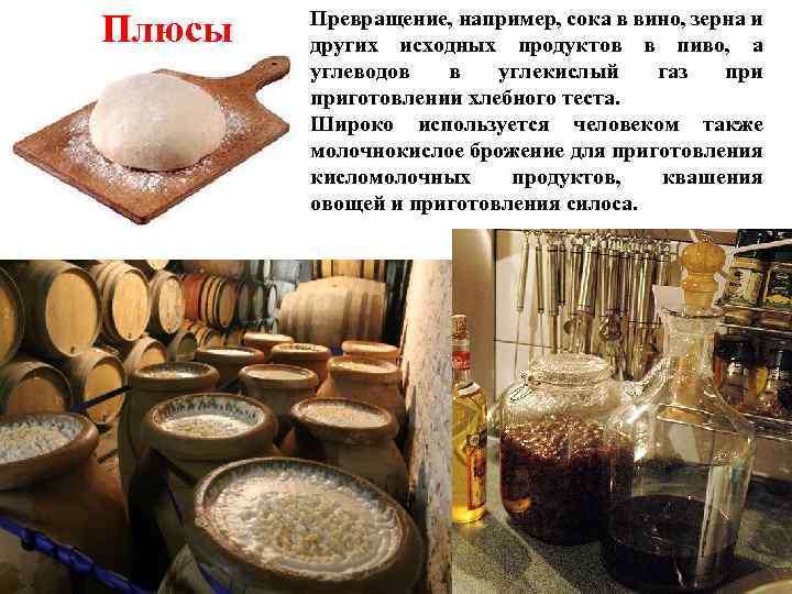 Плюсы Превращение, например, сока в вино, зерна и других исходных продуктов в пиво, а