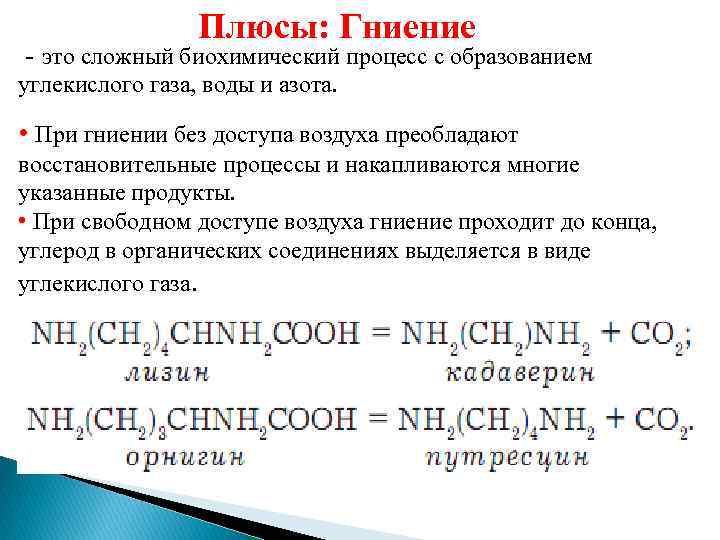 Какой газ выделяется. Гниение как биохимический процесс. При процессе гниения выделяется. Процесс образования воздуха углекислого газа. Гниение азот.