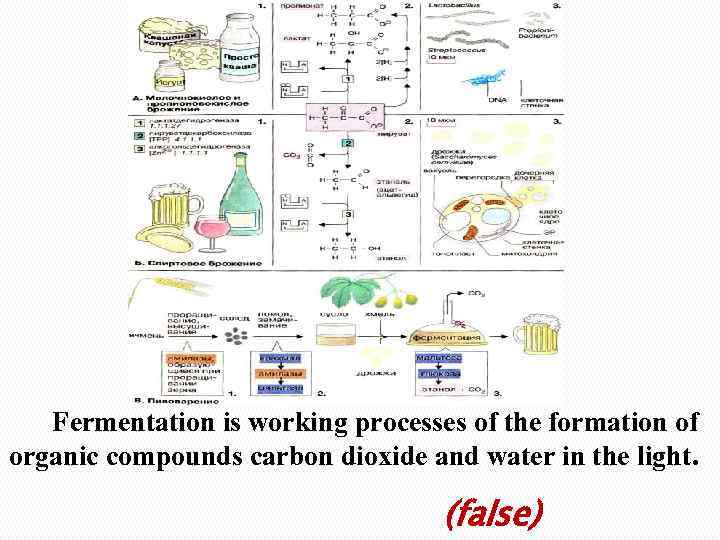 Fermentation is working processes of the formation of organic compounds carbon dioxide and water