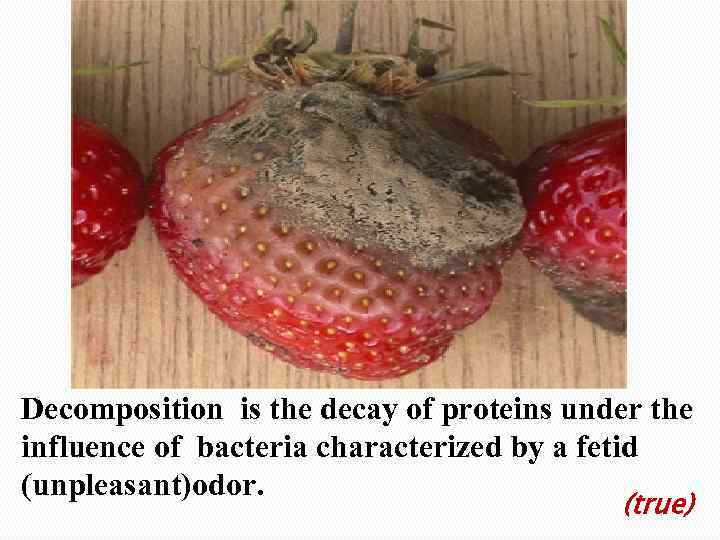 Decomposition is the decay of proteins under the influence of bacteria characterized by a