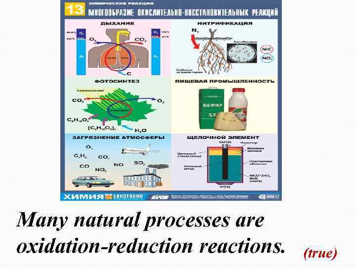 Many natural processes are oxidation-reduction reactions. (true) 