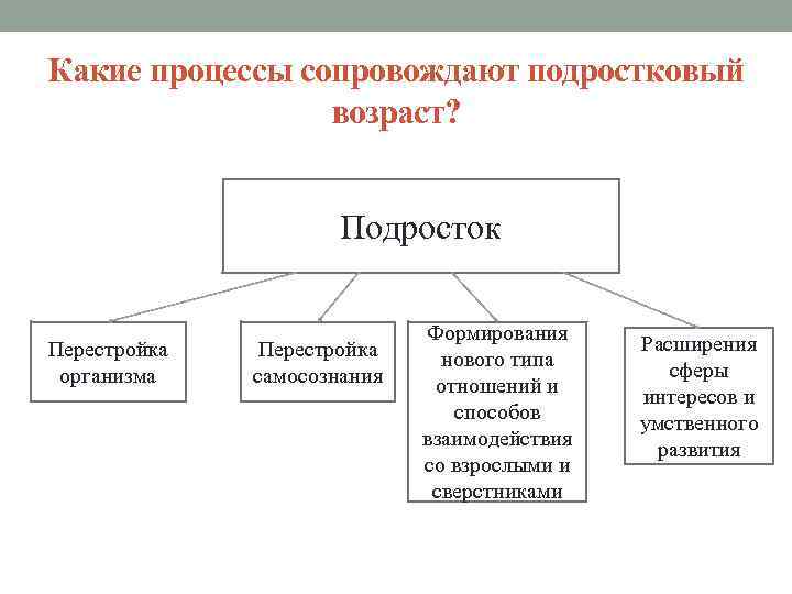 Какие процессы сопровождают подростковый возраст? Подросток Перестройка организма Перестройка самосознания Формирования нового типа отношений