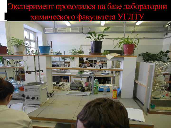 Эксперимент проводился на базе лаборатории химического факультета УГЛТУ 