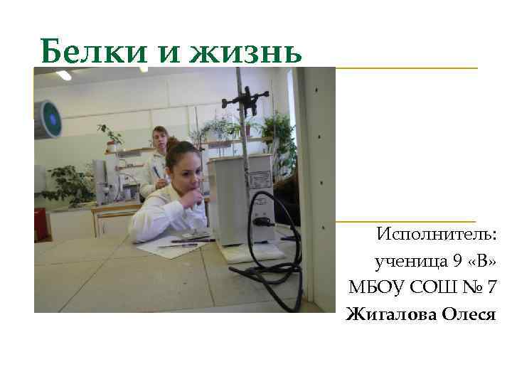 Белки и жизнь Исполнитель: ученица 9 «В» МБОУ СОШ № 7 Жигалова Олеся 