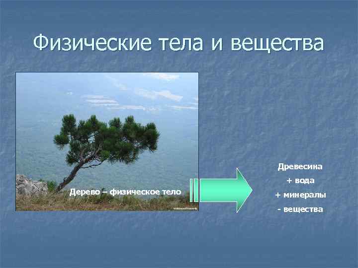 Древесина это физическое. Воздух это физическое тело или вещество. Дерево это вещество. Древесина физическое тело. Дерево это физическое тело или вещество.