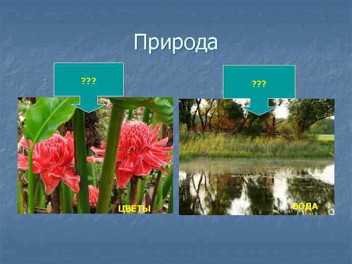 Природа ? ? ? ЦВЕТЫ ВОДА 