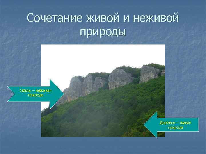 Сочетание живой и неживой природы Скалы – неживая природа Деревья – живая природа 