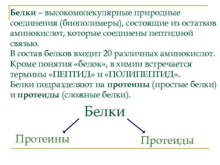 Белки – высокомолекулярные природные соединения (биополимеры), состоящие из остатков аминокислот, которые соединены пептидной связью.