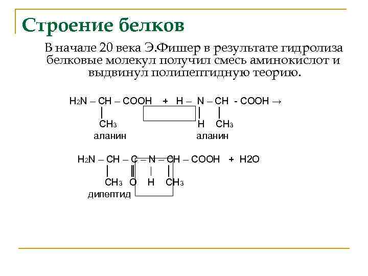 Строение белков. Строение белков химия 9 класс. Белки химия строение. Белок химическая структура. Строение белков кратко химия.