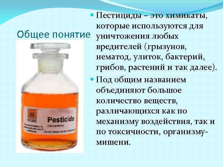 Общее Пестициды – это химикаты, которые используются для понятие уничтожения любых вредителей (грызунов, нематод,