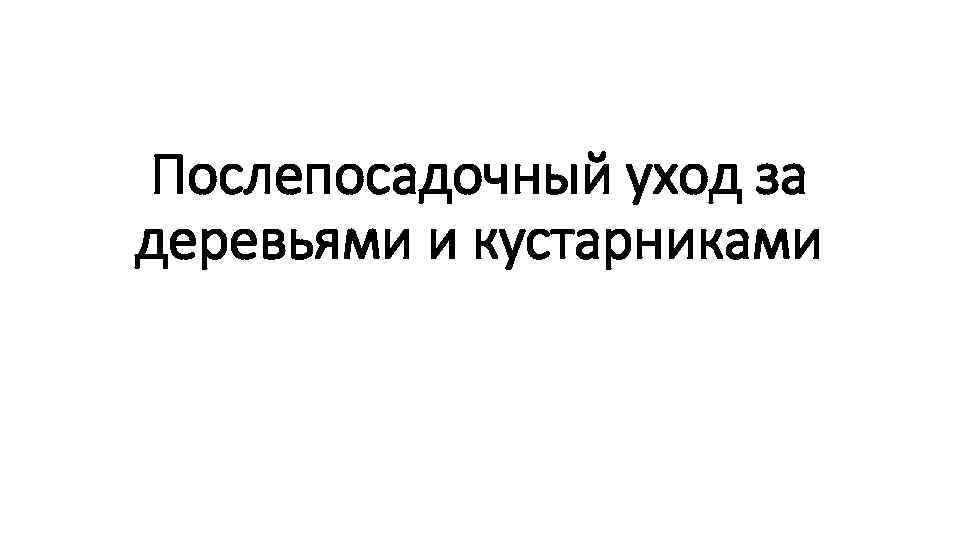 Послепосадочный уход за деревьями и кустарниками 