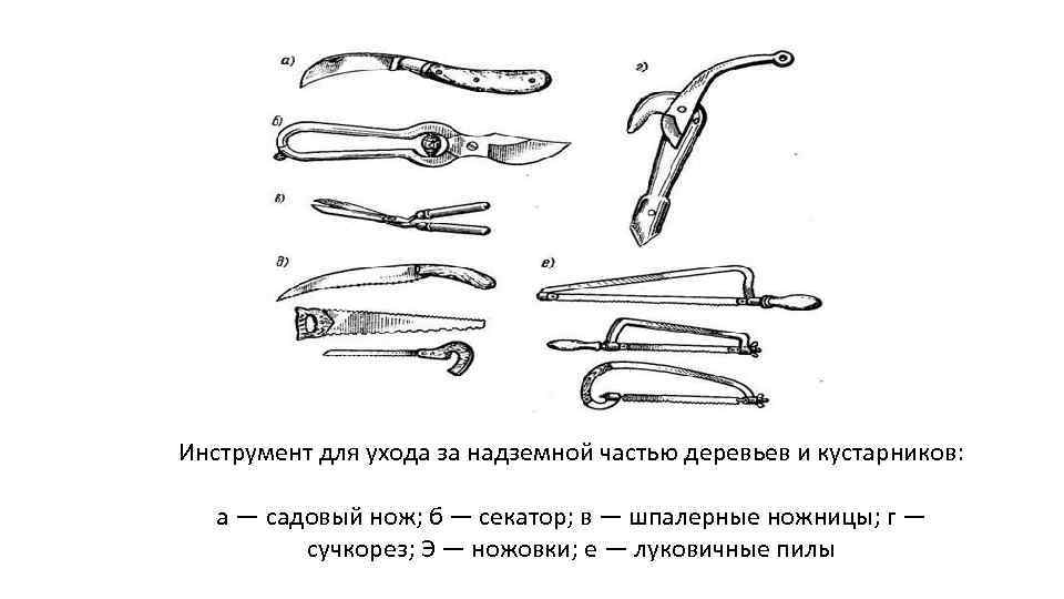 Уход за инструментами. Инструменты для обрезки деревьев и кустарников. Инструмент для ухода за деревьями. Обрезка деревьев инструменты. Инструменты для ухаживания за кустарниками.