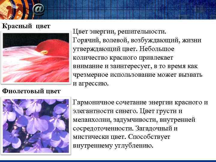 Красный цвет Фиолетовый цвет Цвет энергии, решительности. Горячий, волевой, возбуждающий, жизни утверждающий цвет. Небольшое