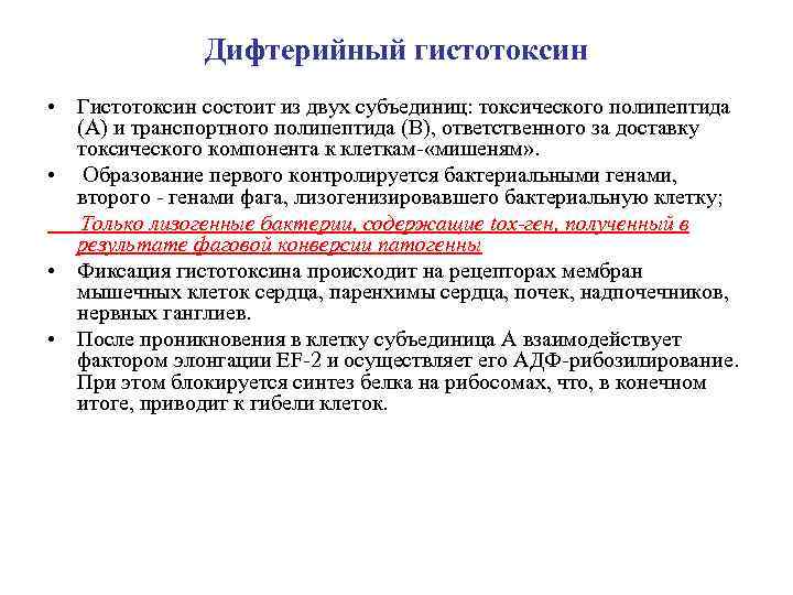 Дифтерийный гистотоксин • Гистотоксин состоит из двух субъединиц: токсического полипептида (А) и транспортного полипептида