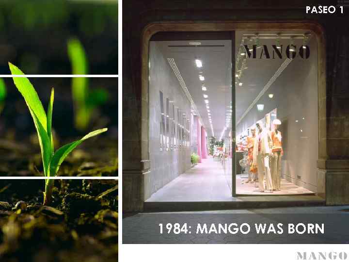 PASEO 1 1984: MANGO WAS BORN 