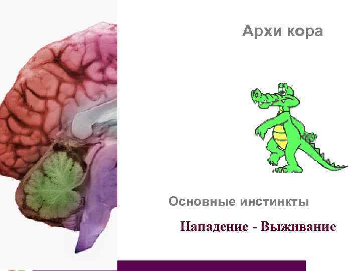 Архи кора Основные инстинкты Нападение - Выживание 
