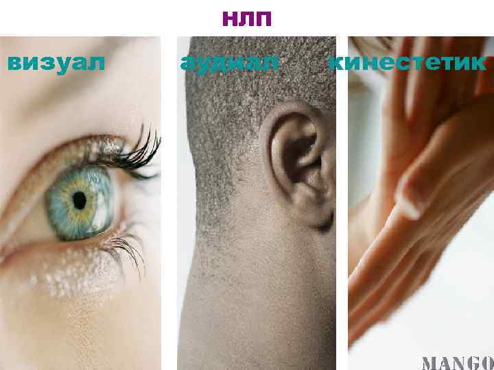 НЛП визуал аудиал кинестетик 