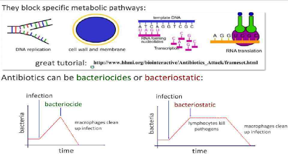 http: //www. slideshare. net/gurustip/defense-against-infectious-disease-core -presentation 