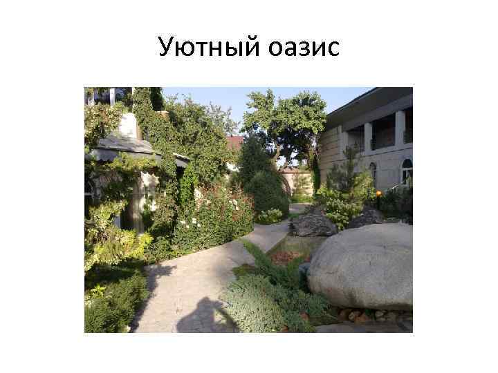 Уютный оазис 