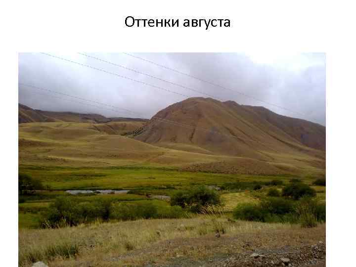 Оттенки августа 