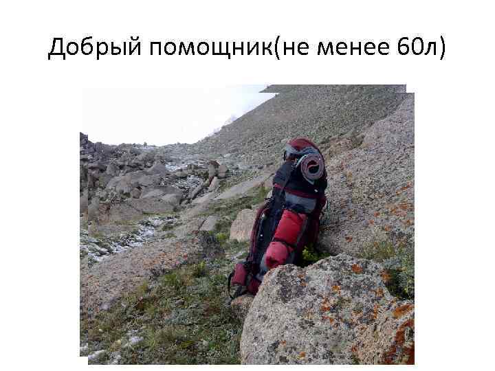 Добрый помощник(не менее 60 л) 